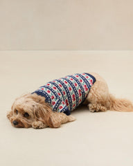 Loeffler Randall Dog Sweater | Women Knitwear