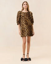 Loeffler Randall Willy Leopard Velvet Mini Dress | Women Dresses