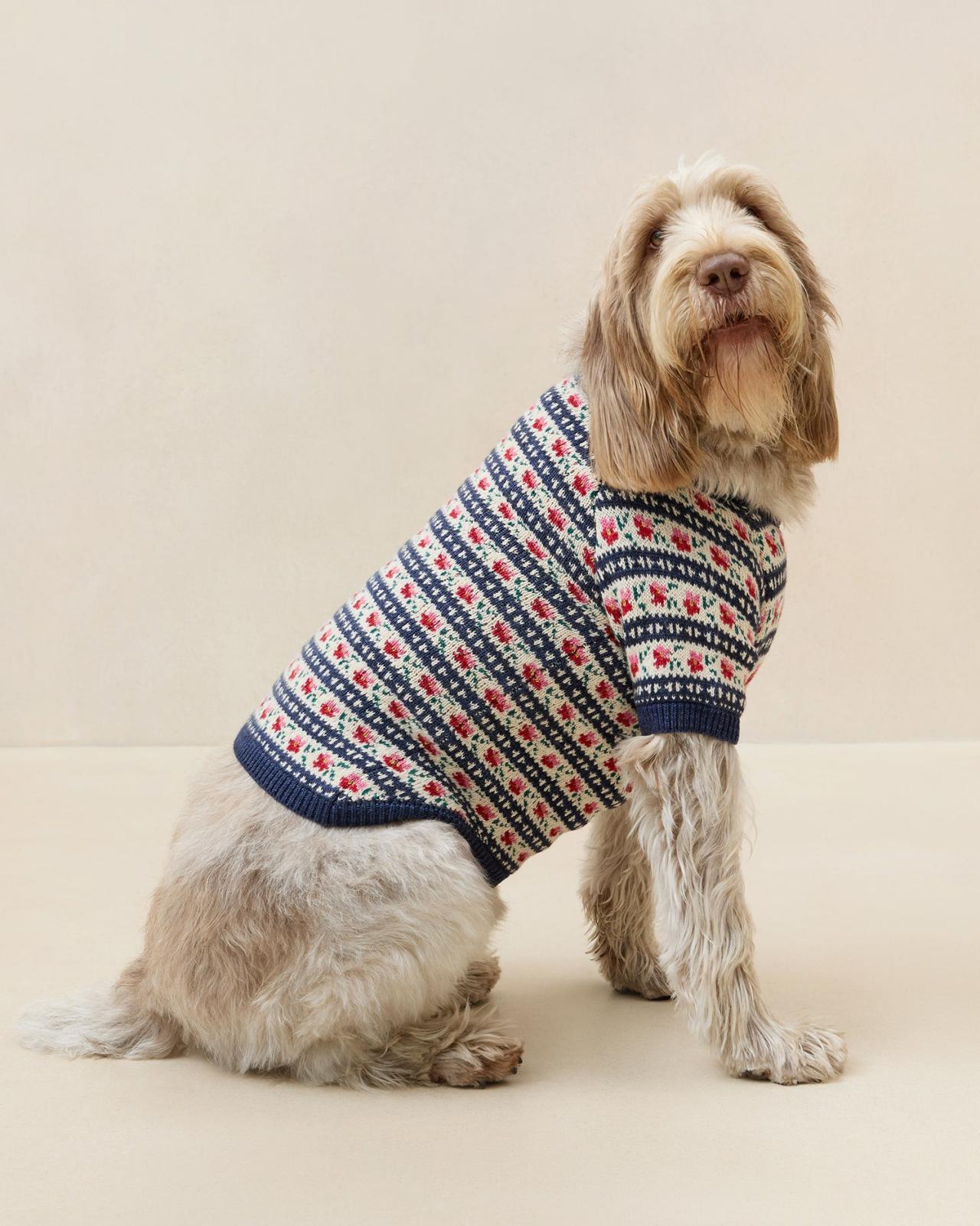 Loeffler Randall Dog Sweater | Women Knitwear