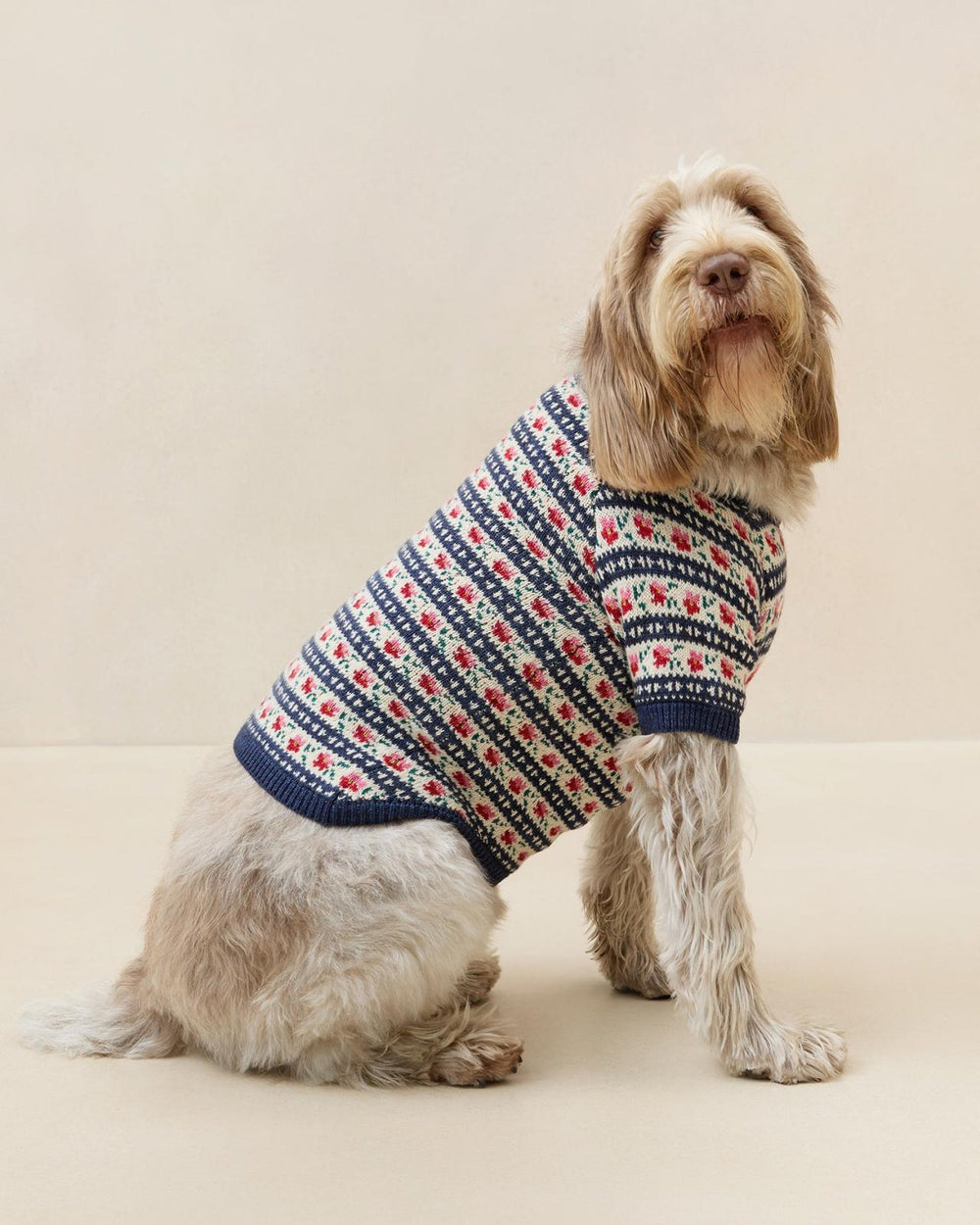 Loeffler Randall Dog Sweater | Women Knitwear